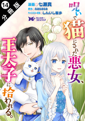 呪いで猫にされた悪女、王太子に拾われる。（コミック） 分冊版 14