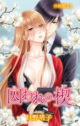 囚われの楔【分冊版】11
