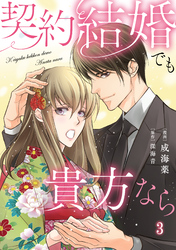 契約結婚でも貴方なら3