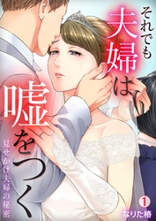 【期間限定　無料お試し版】それでも夫婦は嘘をつく～見せかけ夫婦の秘密～(1)