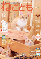 ねこともvol.88(2023年12月号)