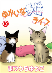 ゆかいな多猫ライフ【分冊版】10