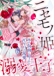 ニセモノ姫と溺愛王子～氷の仮面に隠された10年目の渇愛～【分冊版】６