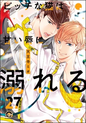 ビッチな猫は好奇心に勝てない（分冊版）　【第27話】