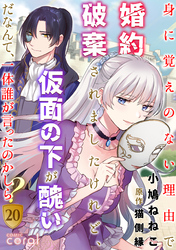 身に覚えのない理由で婚約破棄されましたけれど、仮面の下が醜いだなんて、一体誰が言ったのかしら？（20）