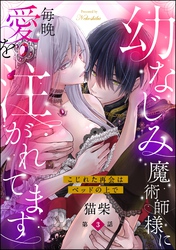 幼なじみ魔術師様に毎晩愛を注がれてます こじれた再会はベッドの上で（分冊版）　【第3話】