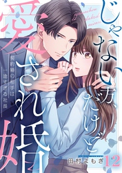 じゃない方、だけど愛され婚～契約婚の相手は一途すぎる社長１２