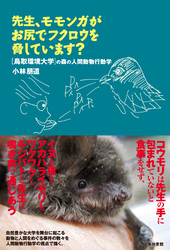 先生、モモンガがお尻でフクロウを脅しています？