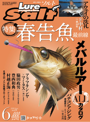 ルアーマガジンソルト2020年6月号