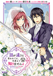 話が違うと言われても、今更もう知りませんよ　～婚約破棄された公爵令嬢は第七王子に溺愛される～　分冊版（２９）