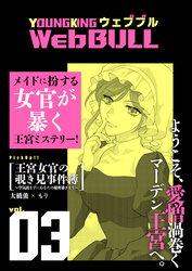 Web BULL3号