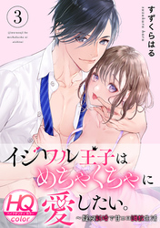 イジワル王子はめちゃくちゃに愛したい。～疑似新婚で甘エロ調教生活【HQカラー】(3)