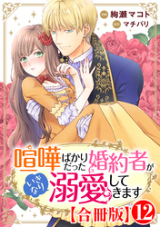 喧嘩ばかりだった婚約者がいきなり溺愛してきます【合冊版】12