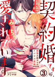 契約婚ですが、毎晩みっちり愛されています～傲慢旦那サマのイジワル愛撫～(3)