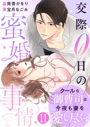 comic Berry’sクールな御曹司は今夜も妻を愛し尽くす～交際0日の蜜婚事情～11巻