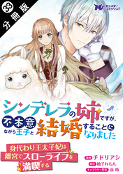 シンデレラの姉ですが、不本意ながら王子と結婚することになりました（コミック） 分冊版 33