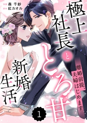 comic Berry’s離婚前提、夫婦はじめます～極上社長ととろ甘新婚生活～