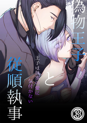 偽物王子と従順執事-王子は執事の愛に気付かない-3