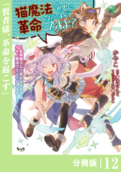 猫魔法が世界に革命を起こすそうですよ？【分冊版】（ノヴァコミックス）１２