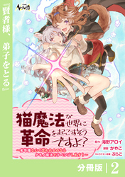 猫魔法が世界に革命を起こすそうですよ？【分冊版】（ノヴァコミックス）２