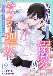 Berry’sFantasy黒騎士様から全力で溺愛されていますが、すごもり聖女は今日も引きこもりたい!12巻