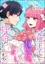 完璧王子の夜伽係、拝命いたします！ ～無能と呼ばれた羊数え姫は甘い日々に困惑する～（分冊版）　【第12話】