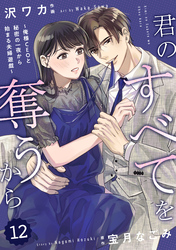 comic Berry’s君のすべてを奪うから～俺様CEOと秘密の一夜から始まる夫婦遊戯～12巻