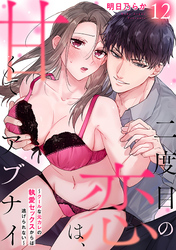 二度目の恋は、甘くてアブナイ～クールな元カレの執愛セックスからは逃げられない～(12)