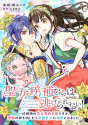 聖女候補からは逃げられない！ ～辺境領の貧乏男爵令嬢ですが、聖獣の卵を孵したら帝国皇子に溺愛されました～ 8話