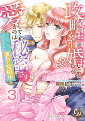 政略結婚しましたが、愛してるのは秘密です～ツンデレ皇帝夫妻は蜜月に奮闘中～【分冊版】3