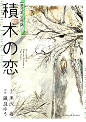 積木の恋【単行本 分冊版】