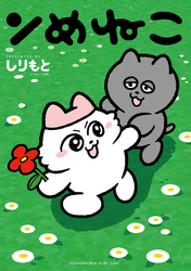 ンめねこ