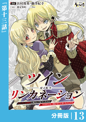 ツインリンカネーション【分冊版】１３
