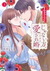 じゃない方、だけど愛され婚～契約婚の相手は一途すぎる社長【単行本版】３【特典ペーパー付き】