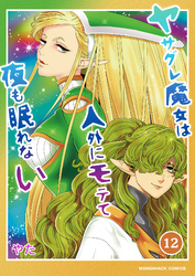 ヤサグレ魔女は人外にモテて夜も眠れない12巻