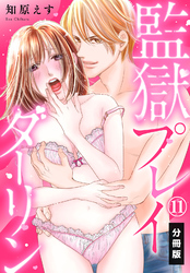 監獄プレイダーリン【分冊版】（11）