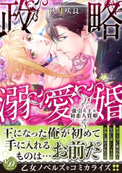 【期間限定　試し読み増量版】政略溺愛婚～強引な王と初恋人質姫～