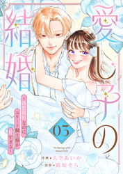 愛し子の結婚～偽装契約なのにエリート騎士様が甘すぎる～【電子単行本版／特典おまけ付き】３