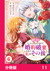 婚約していないのに婚約破棄された私のその後【分冊版】11