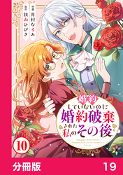 婚約していないのに婚約破棄された私のその後【分冊版】19