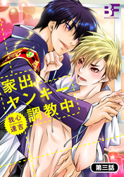 家出ヤンキー調教中 3