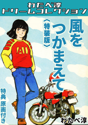 風をつかまえて<特典原画付き特装版>・わたべ淳ドリームコレクション