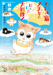 ちいき猫メチャのほんわか大冒険！