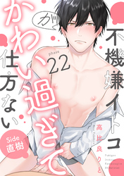 不機嫌イトコがかわい過ぎて仕方ない(22)　side直樹